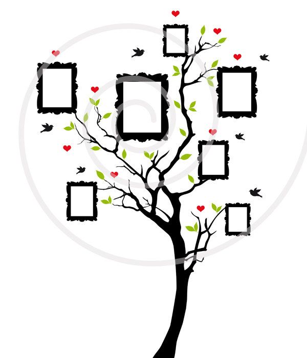600x700 Family Tree Clipart Free Download Family Tree Clipart