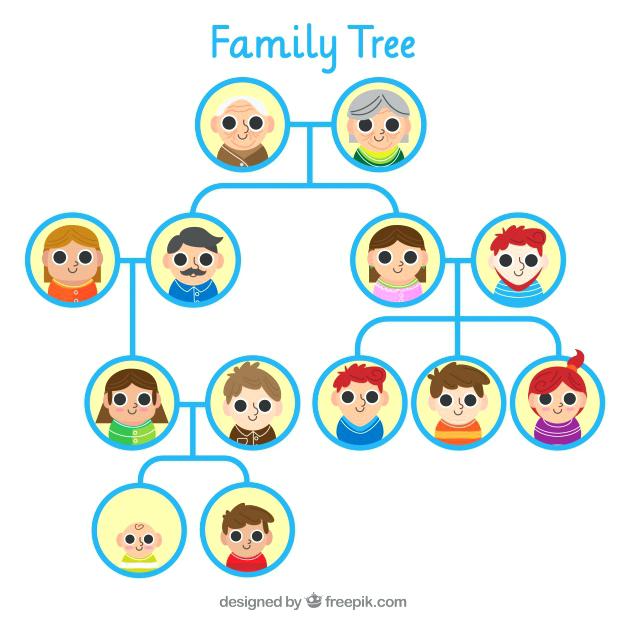 626x626 Family Tree Template With Siblings Infographic For Resume Free