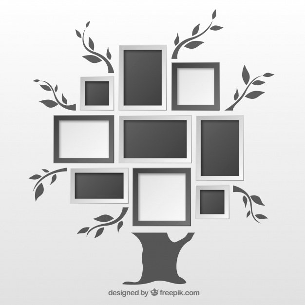 626x626 Family Tree Vectors, Photos And Psd Files Free Download