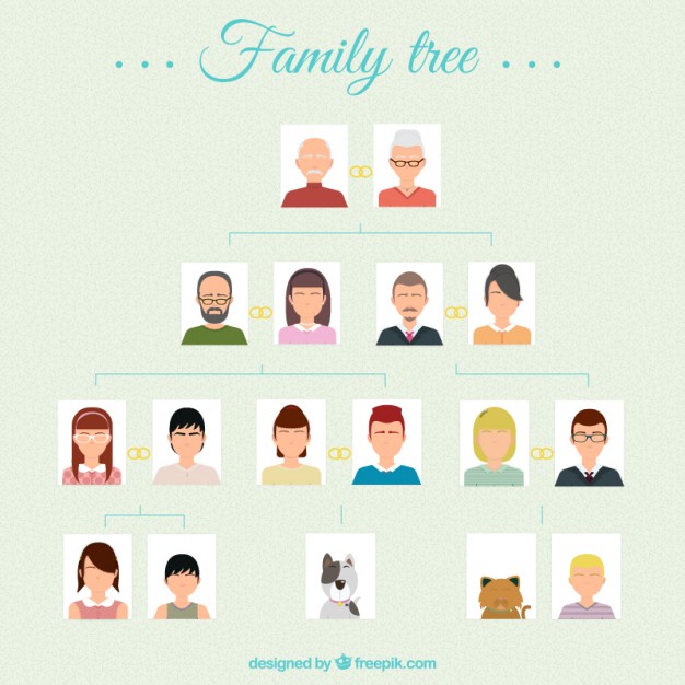 626x626 Family Tree Vector Free Download
