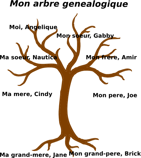 534x599 Family Tree Vector Png Freeuse Stock