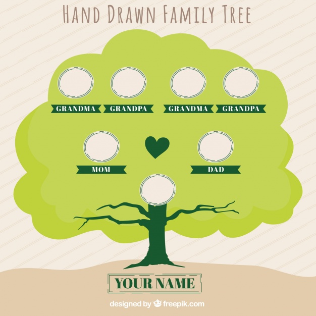 626x626 Fantastic Hand Drawn Family Tree Vector Free Download