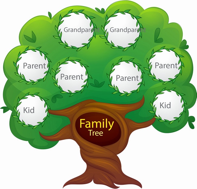 Family Tree Vector Free Download at GetDrawings | Free download