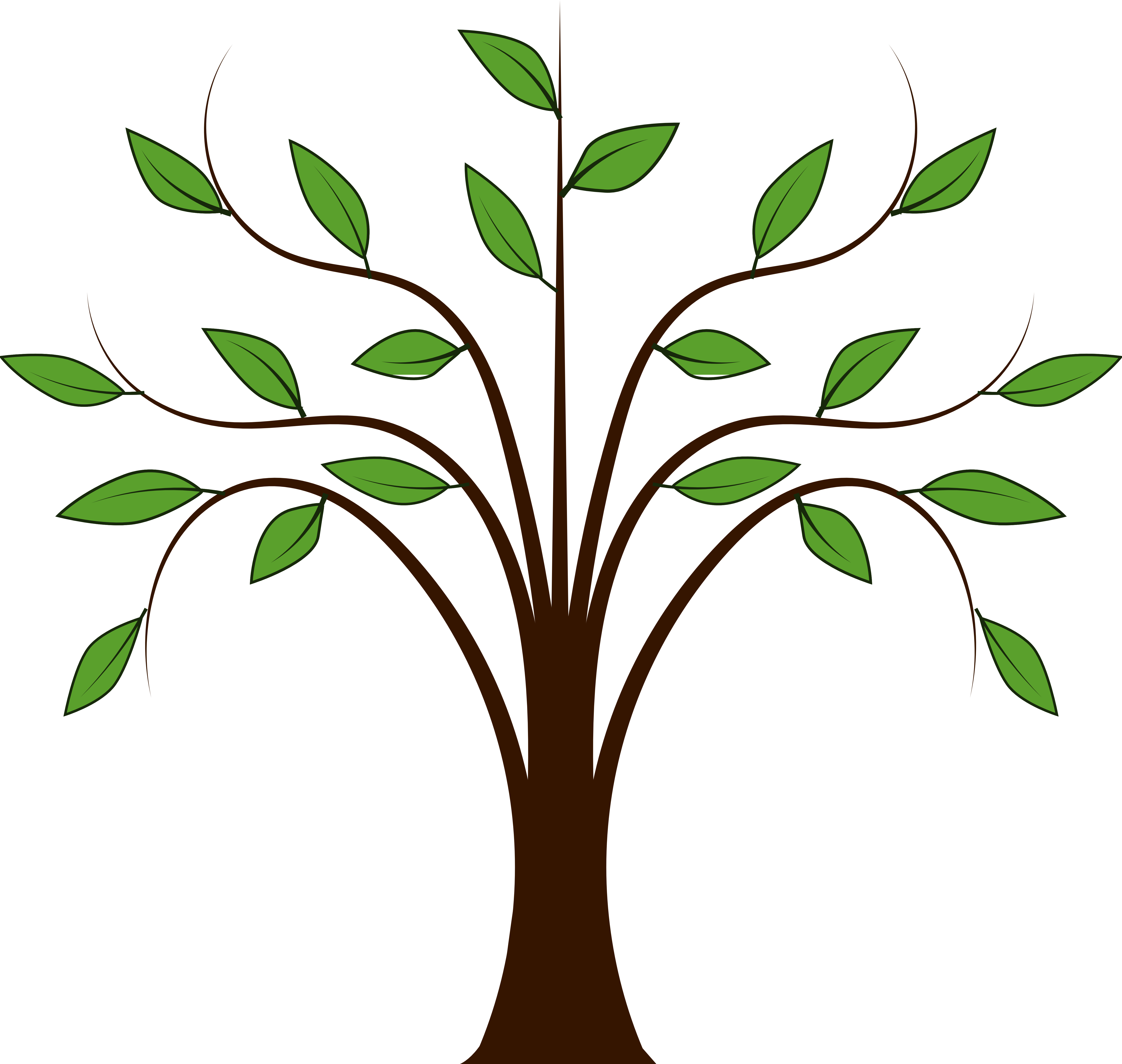 5555x5270 Tree Vector Svg Transparent Download