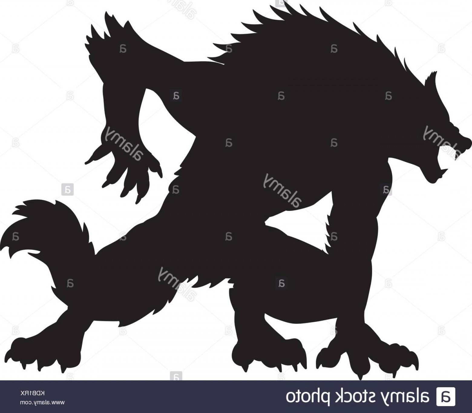 1560x1365 Stock Photo Werewolf Silhouette Ancient Mythology Fantasy Vector