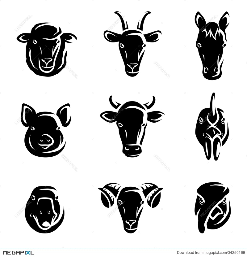 800x830 Farm Animals Set. Vector Illustration 34250169