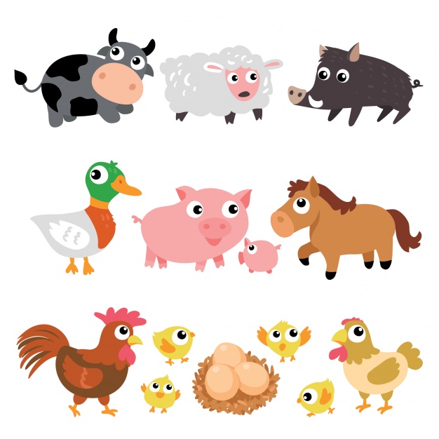 626x626 Farm Animals Collection Vector Free Download