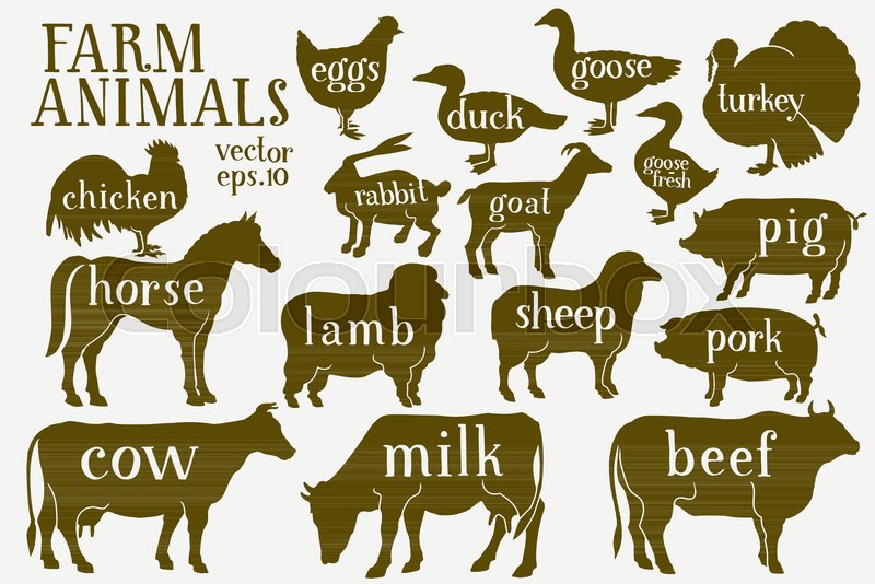 800x534 Vector Farm Animals Silhouettes. Vintage Illustrations. Hand Drawn