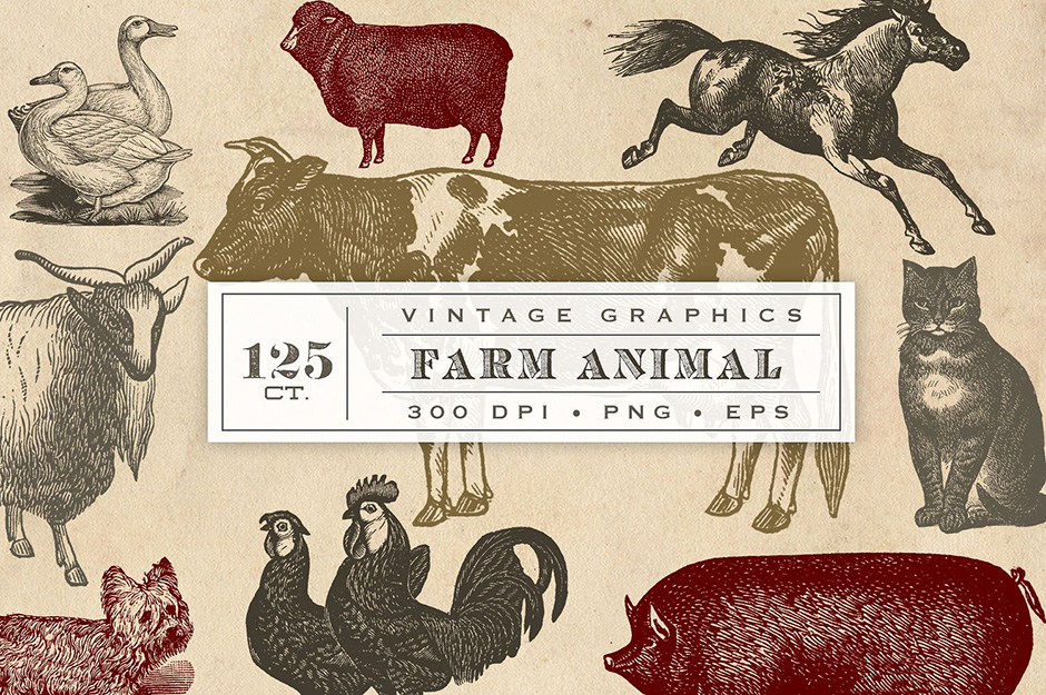 940x625 Vintage Farm Animal Vector Graphics