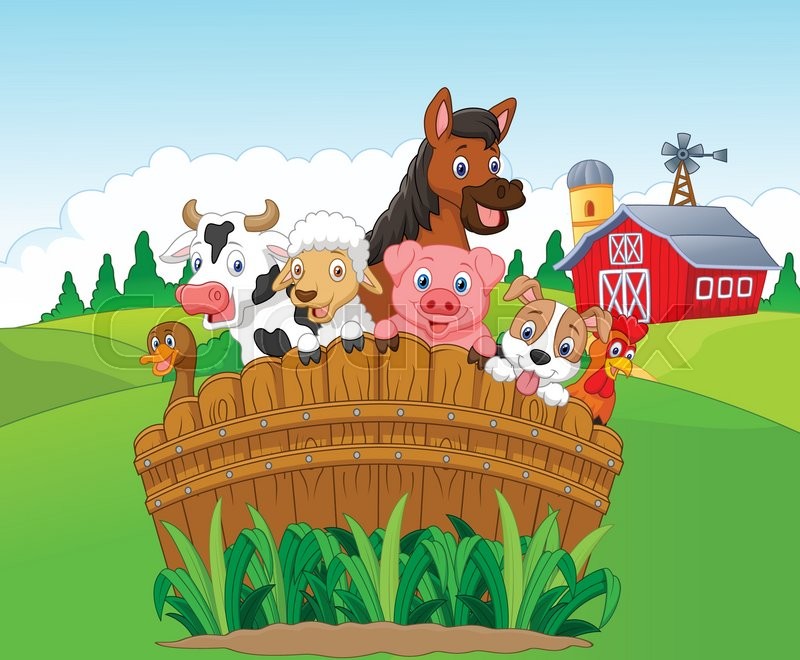 800x660 Vector Illustration Of Cartoon Collection Farm Animals Stock