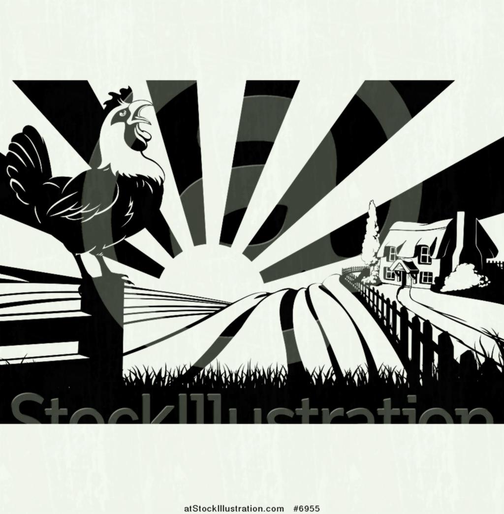 1024x1044 Vector Set Of Different Farm Animals Stock Cartoon Style Black