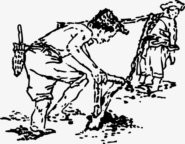 650x507 Black And White Wind Farm Planting, Transplant Rice Seedlings