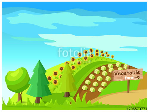 500x377 Vegetable Farm Vector With Harvest On Field Stock Image And
