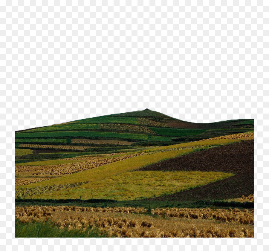 900x840 Hill Euclidean Vector Grade