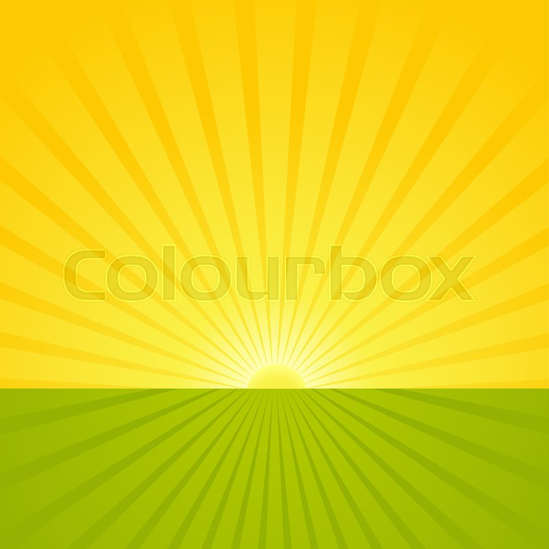 800x800 Morning Sun Shining Over Flat Farmland