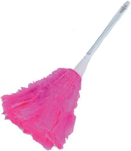 434x500 Feather Duster Vector