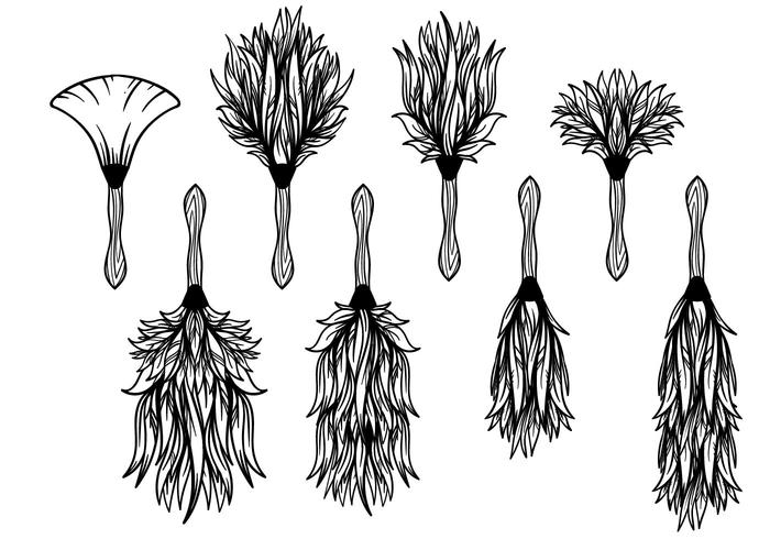700x490 Free Feather Duster Vector