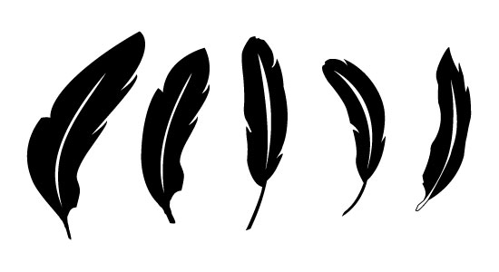 550x300 Free Vector Feathers Concept Dezain