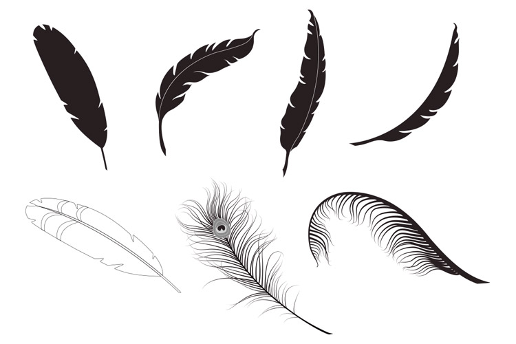 750x500 Feather Vector Pack 1 Design Panoply