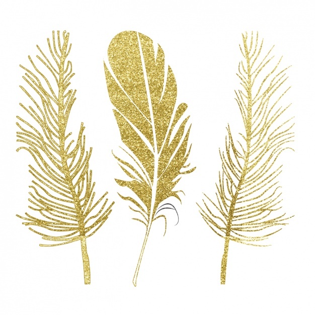 626x626 Feather Vectors, Photos And Psd Files Free Download