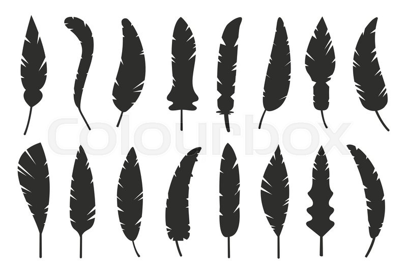 800x532 Feathers Vector Black And White Silhouette Collection. Feather