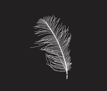 450x381 Free Feather Vector