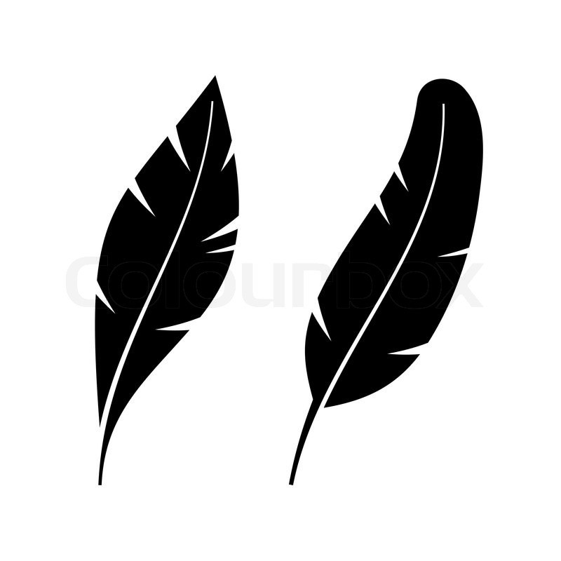 800x800 Two Icon Style Feathers On White Background. Vector Illustration