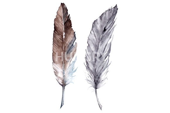 580x386 Watercolor Feather Vector Set By Art By Silmairel