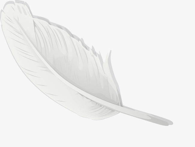 650x488 White Feathers Vector, Vector, Feather, Feather Vector Png And