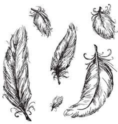 236x248 Feather Vector Clipart Feather Vector, Feathers