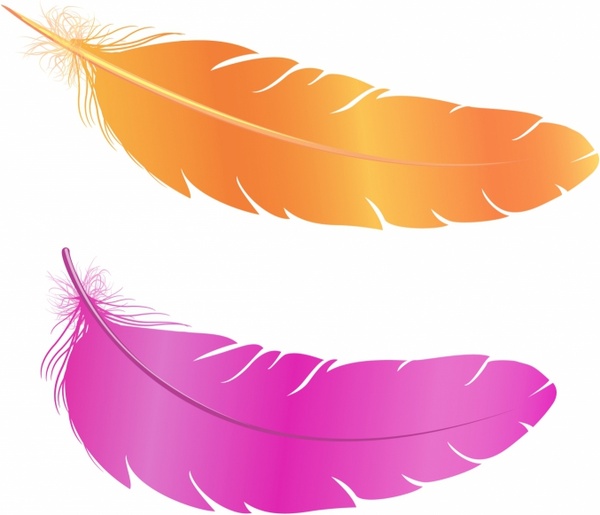 600x515 Feather Free Vector In Adobe Illustrator Ai ( .ai ), Encapsulated