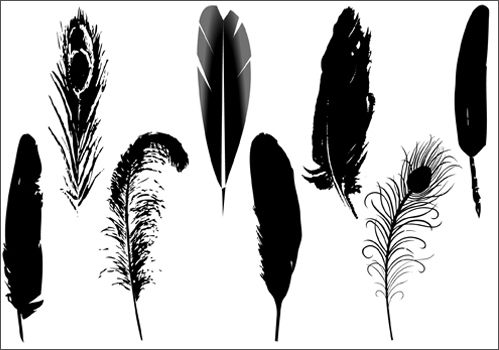 499x350 Feather Silhouette Vector Silhouette Feather