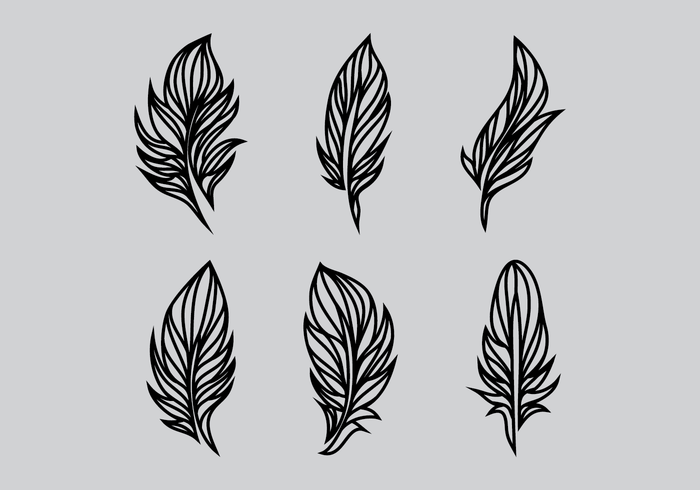 700x490 Feather Vector