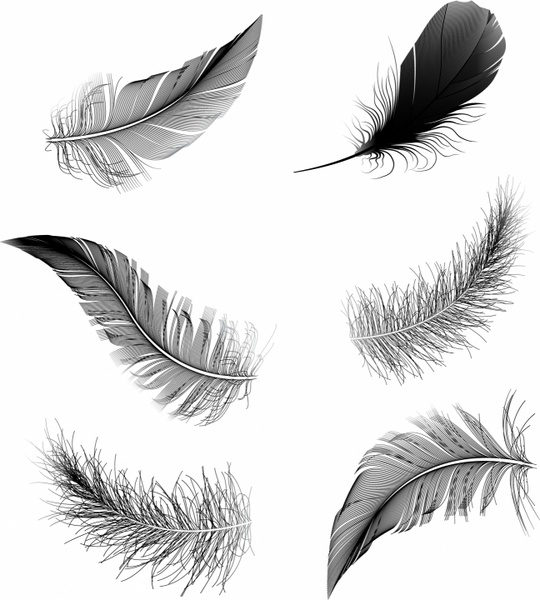 540x600 Feather Pen Free Vector In Adobe Illustrator Ai ( .ai