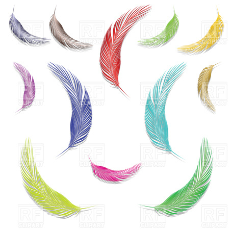 453x453 Feathers Vector Image Vector Artwork Of Design Elements