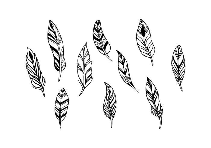 700x490 Free Feathers Vector