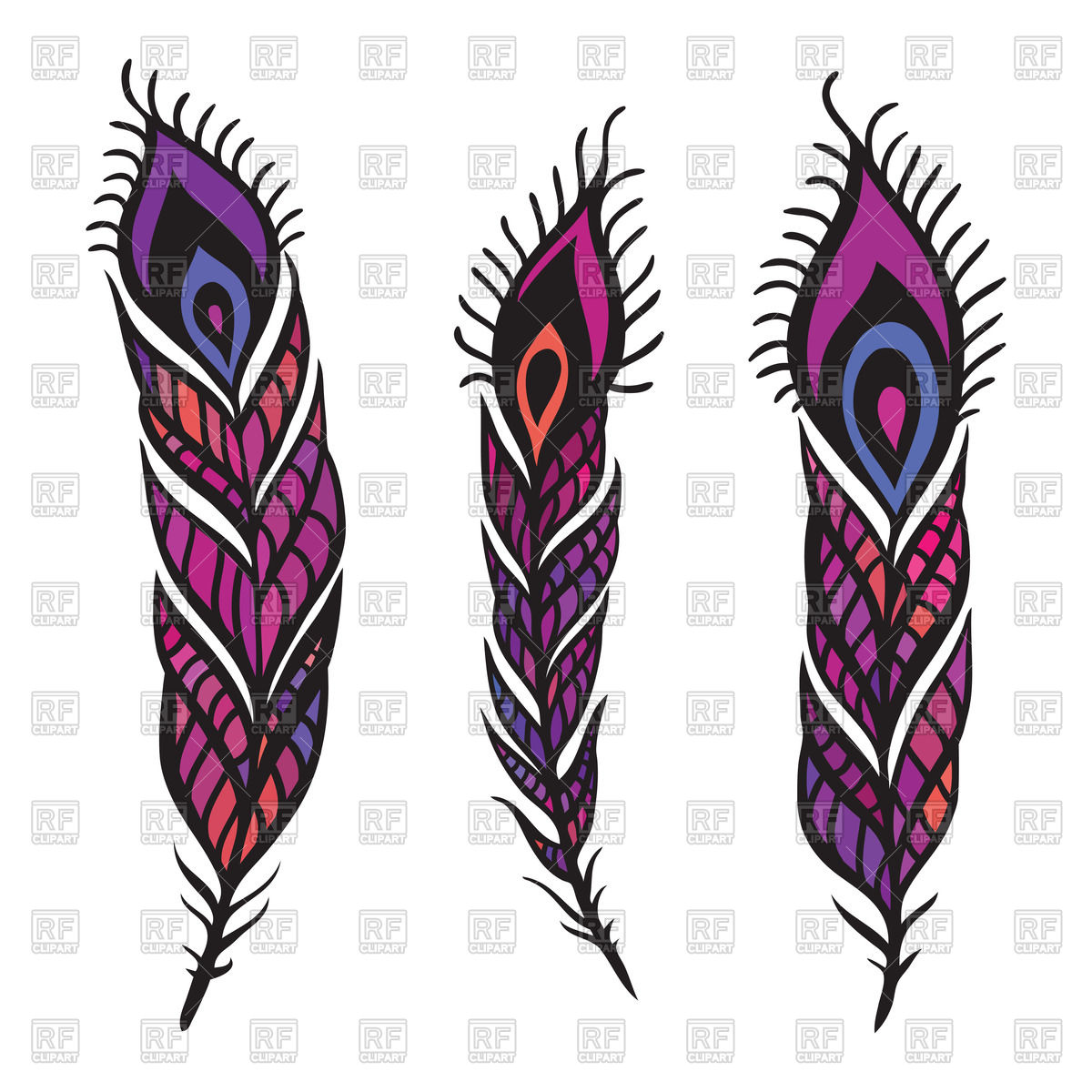 1200x1200 Pink And Purple Peacock Feathers Vector Image Vector Artwork Of