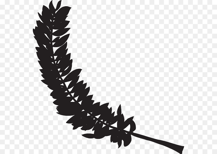 900x640 Bird Feather Clip Art