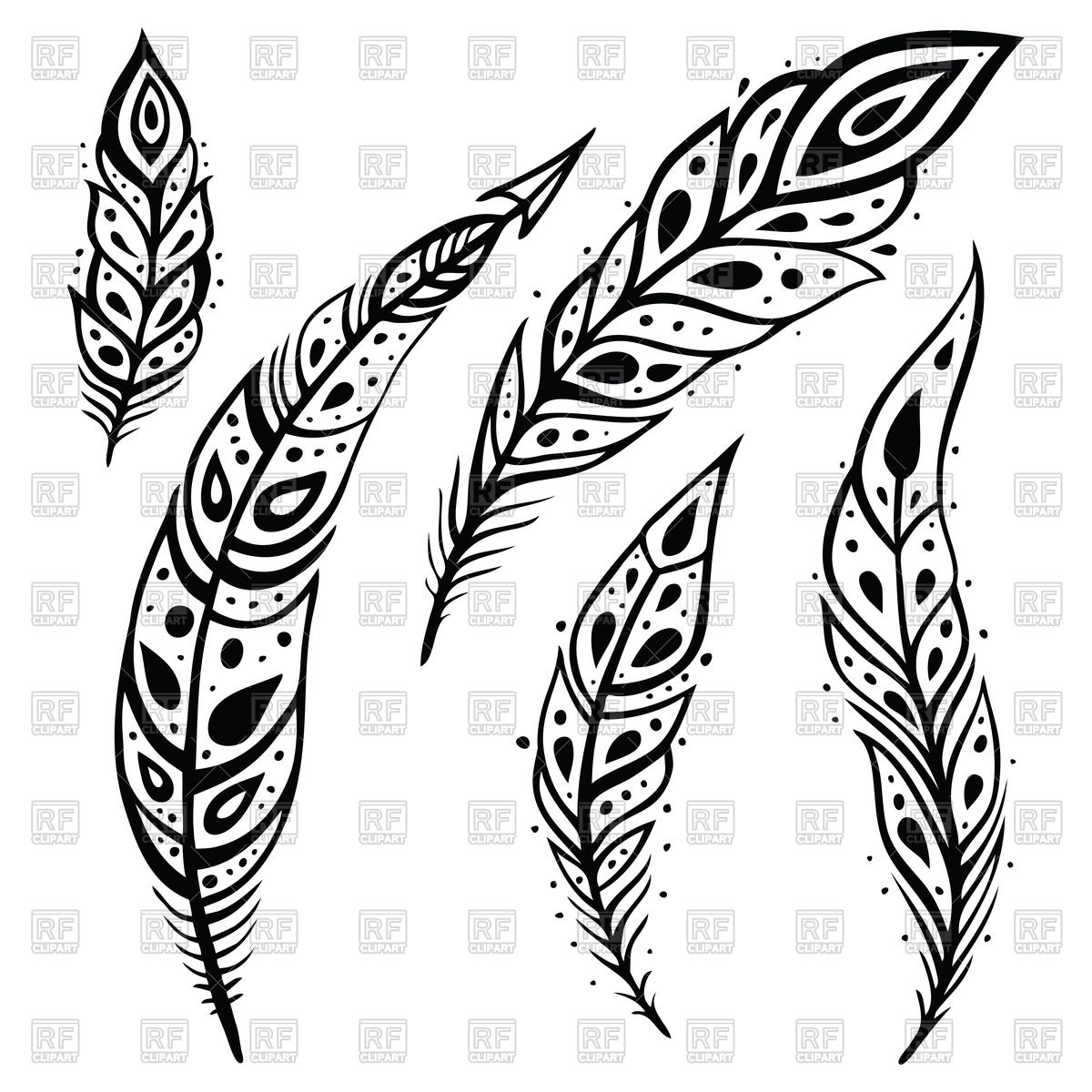 1200x1200 Stylized Decorative Black White Feathers Vector Image Vector