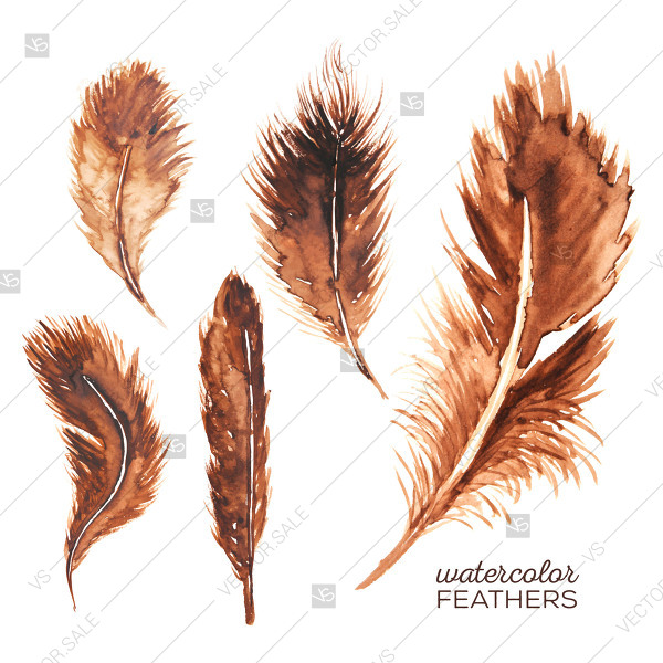600x600 Watercolor Feather Vector Clip Art Boho