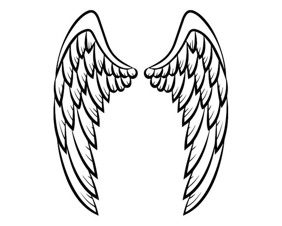 570x456 Wing Feather Vector Bird Symbol Abstract Angel Sign Design Etsy