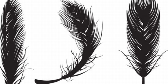 550x275 Feather Vector 6 An Images Hub