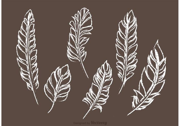 700x490 Chalk Drawn Feather Vector Pack