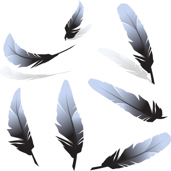 600x598 Feather Vector Free Vector In Encapsulated Postscript Eps ( .eps