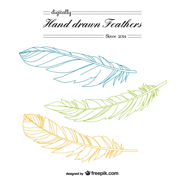 626x626 Hand Drawn Feathers Vector Free Download
