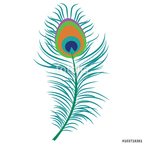 500x500 Peacock Feather Vector Stock Image And Royalty Free Vector Files