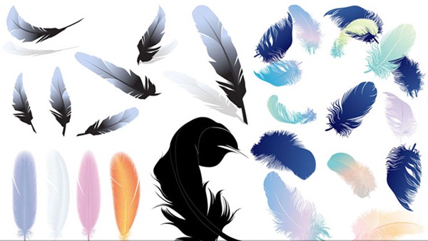 600x338 Vector Feathers Reflection Graphics Collection My Free