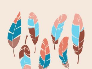 310x233 Colorful Feather Vector Free Vectors Ui Download