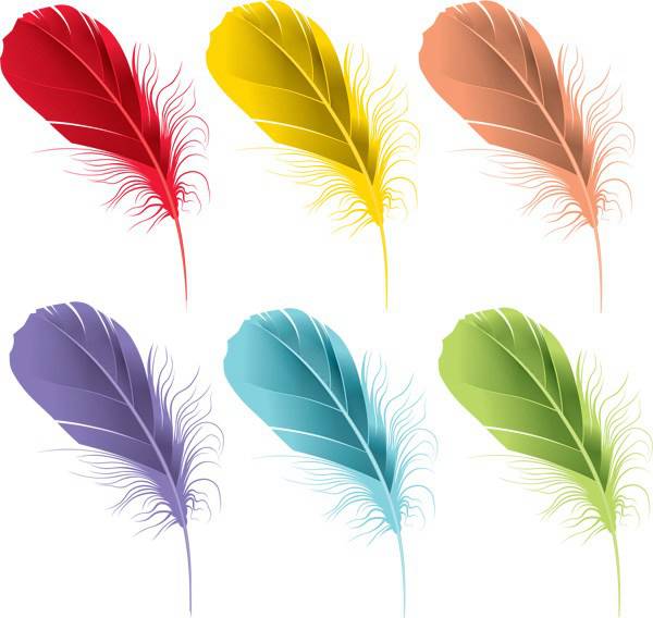 Feather Vector Free at GetDrawings | Free download