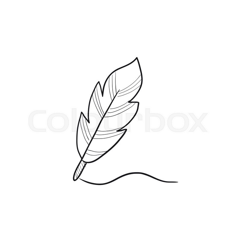 800x800 Feather Vector Sketch Icon Isolated On Background. Hand Drawn